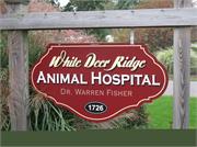 db_White_Deer_Run_Animal_Hospital3